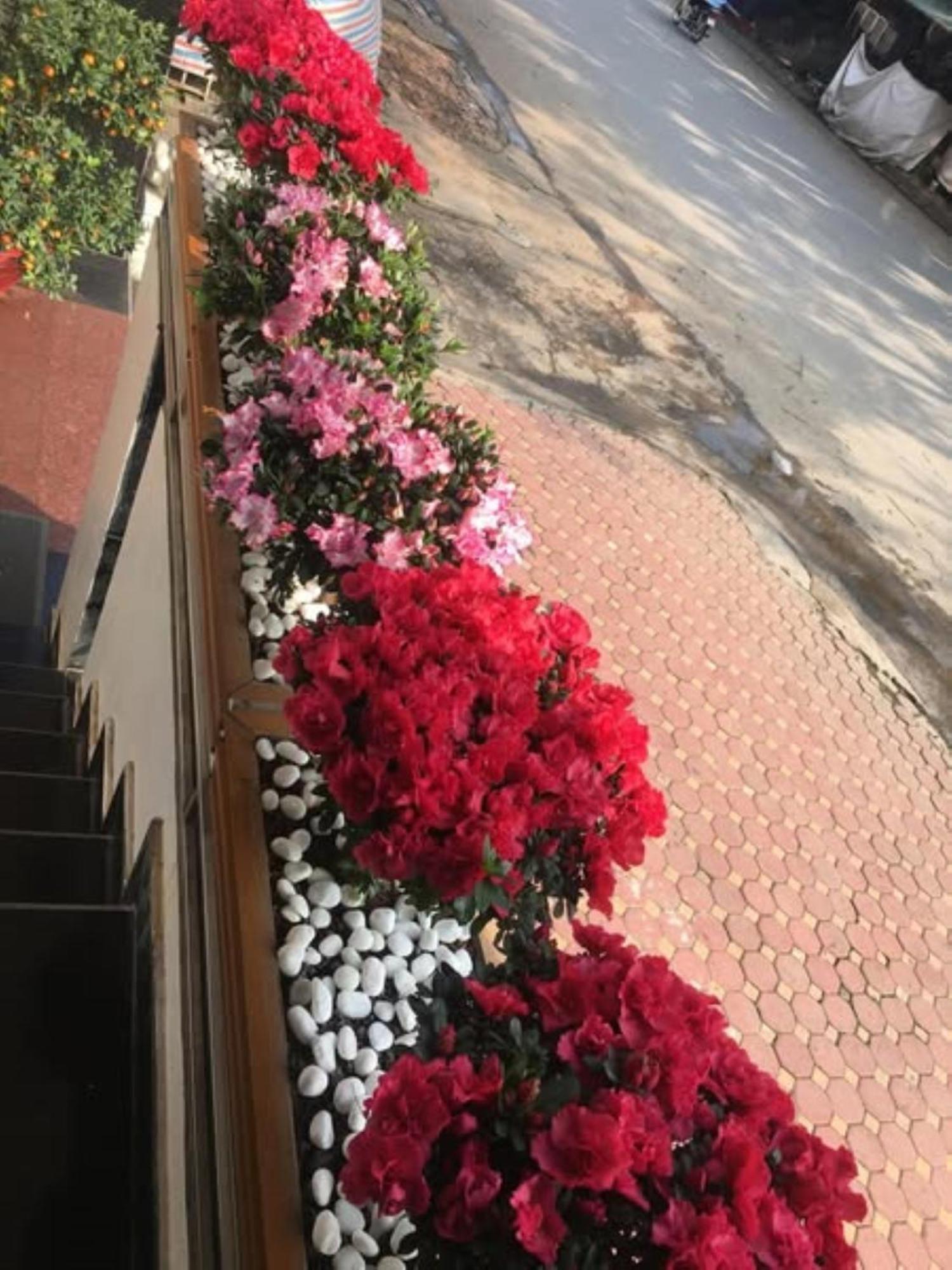 קאו באנג Hoa Viet Hotel מראה חיצוני תמונה